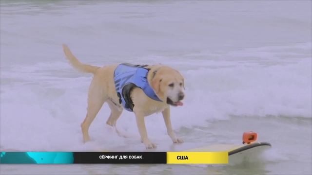 Новости мира (10.08.2022) смотреть онлайн