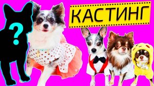 ОХОТА ЗА СЕРДЦЕМ СОФИ: КТО СТАНЕТ ИЗБРАННЫМ? 💖🎯