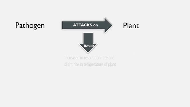 How Pathogens affect the respiration process in plants смотреть онлайн