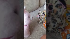 Приключения Гепардика 1серия