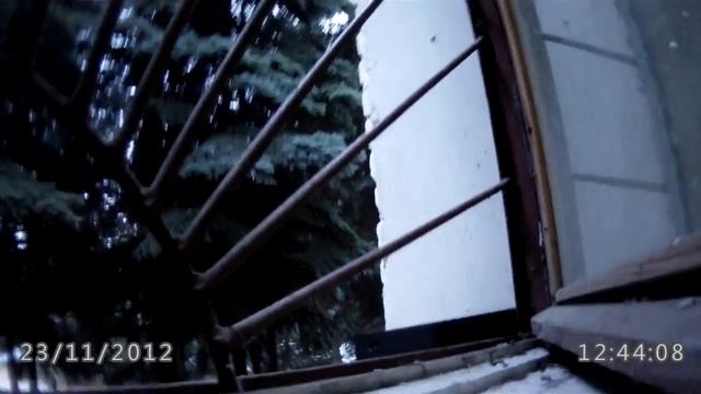 синицы смотреть онлайн