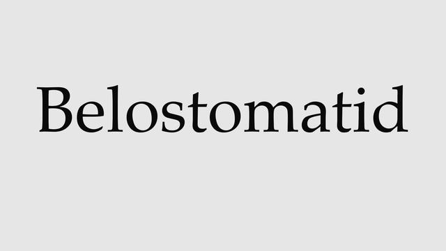 How to Pronounce Belostomatid смотреть онлайн