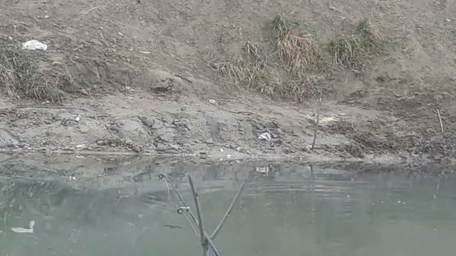 рыбалка на карася в феврале 2022. смотреть онлайн