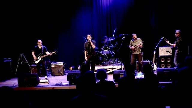 losing my religion R.E.M. (By The 40 Watt Band) смотреть онлайн