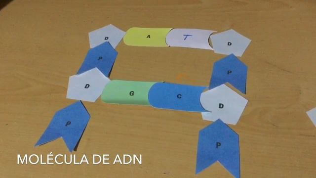 ADN y ARN - Biología - Conceptos Básicos - Biomoléculas - Macromolécula смотреть онлайн