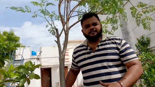 Dindigul Garden tour #garden #plantlover #hibiscus #vicksplant #drumstick смотреть онлайн