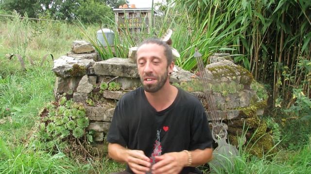 Plantes et histoires de plantes : La Joubarbe смотреть онлайн