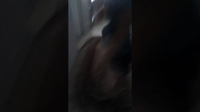 Проверяем машу смотреть онлайн