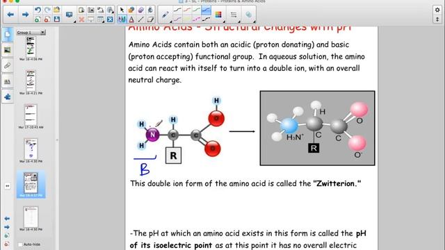 Proteins Amino Acids смотреть онлайн