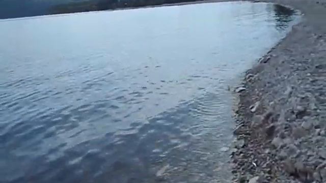 Над водой торчали две головы змей смотреть онлайн