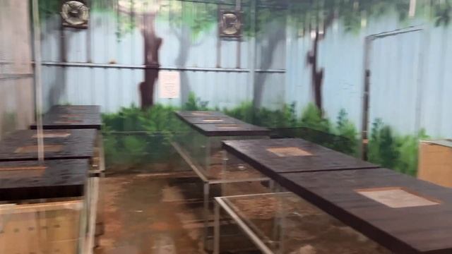 Exotic Birds Park , Coimbatore, Kookyland | Macaw, Sun Conure, Python @WildTamilan смотреть онлайн
