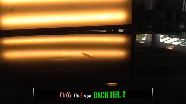 Hagelschaden reparieren | Der mini Hagel | so schön kann arbeiten sein | Ausbeultechnik Ullrich смотреть онлайн