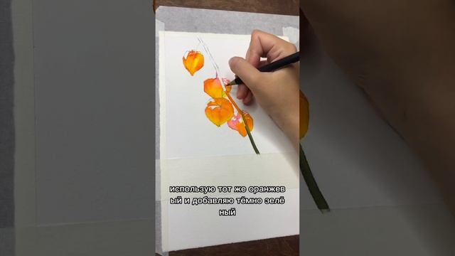 Физалис, они же китайские фонарики смотреть онлайн