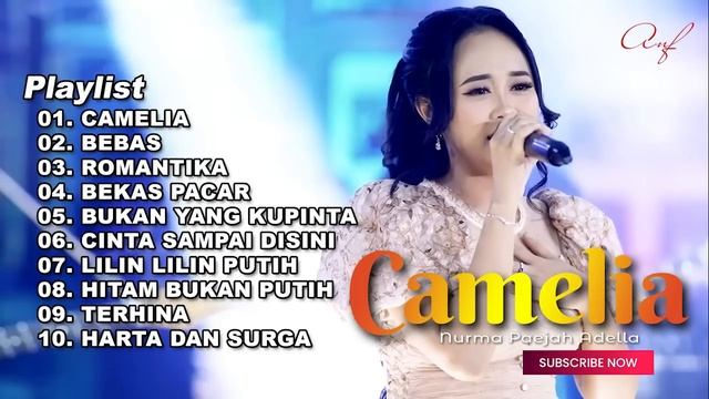 CAMELIA - NURMA PAEJAH FULL ALBUM TERBARU OM ADELLA 2024 смотреть онлайн