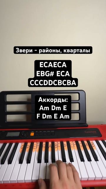 Звери - районы, кварталы на пианино. #какиграть #разбор #звери