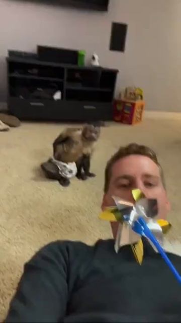 Funny monkey 2021 Part 77 | Monkey Nastya смотреть онлайн