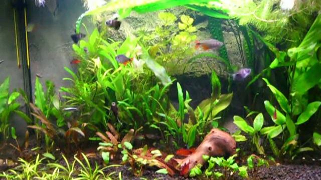 MVI 0042 смотреть онлайн