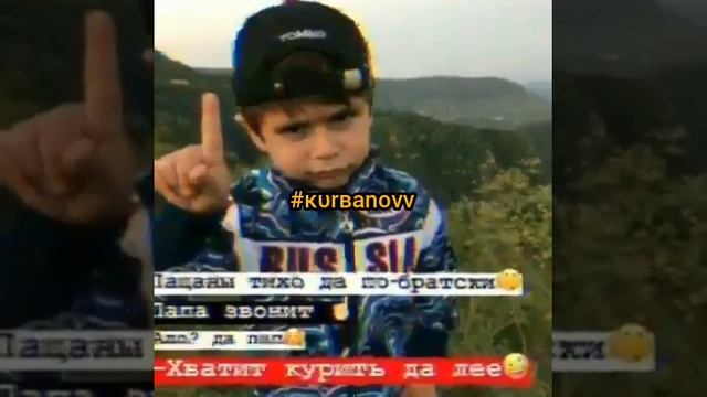 Цитата смотреть онлайн