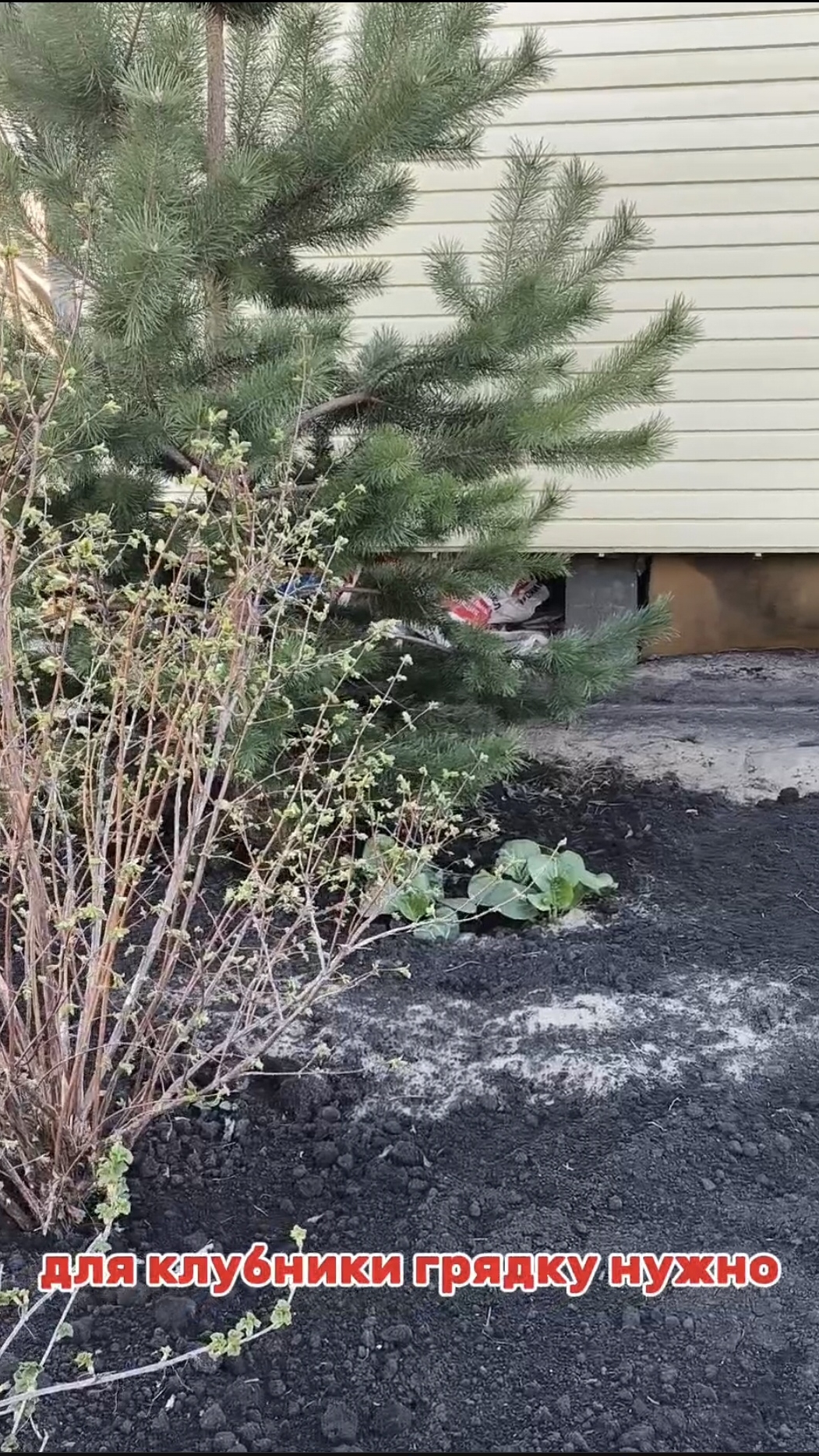 Для клубники грядку нужно смотреть онлайн