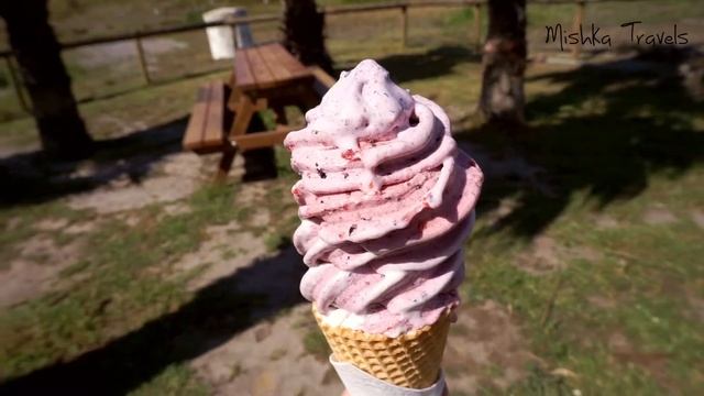 CENY NA NOVÉM ZÉLANDU: Kolik stojí jídlo, ubytování, doprava | Kolik si vyděláte na working holiday смотреть онлайн