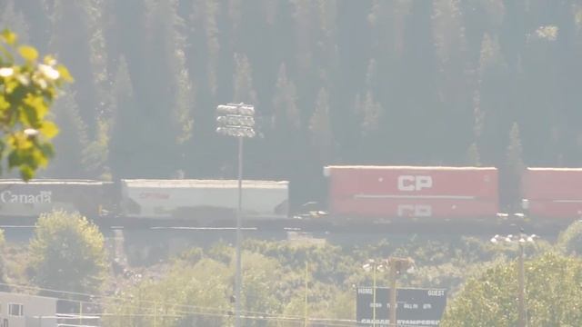 CP EB manifest 2020 Aug 1 15:10 смотреть онлайн