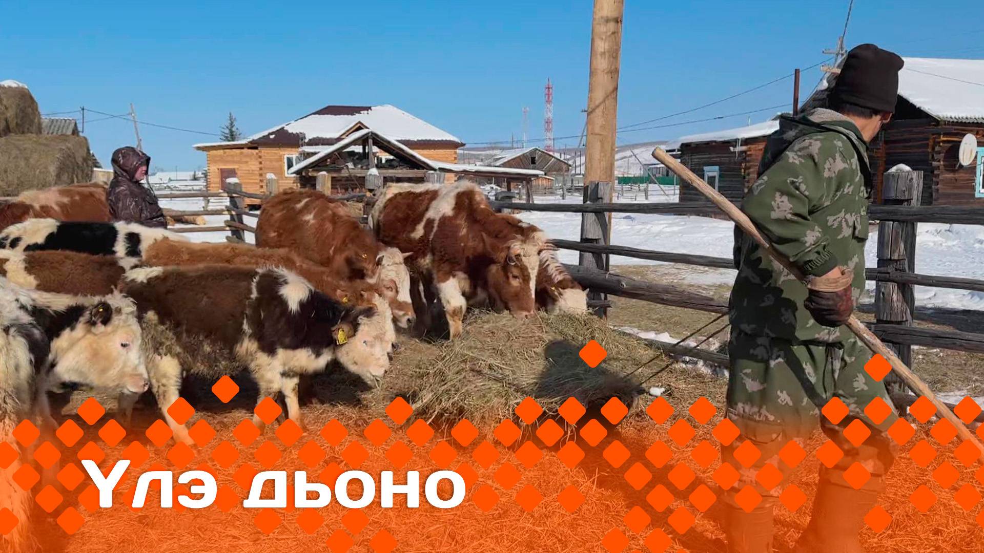 «Үлэ дьоно»   (13.04.25)