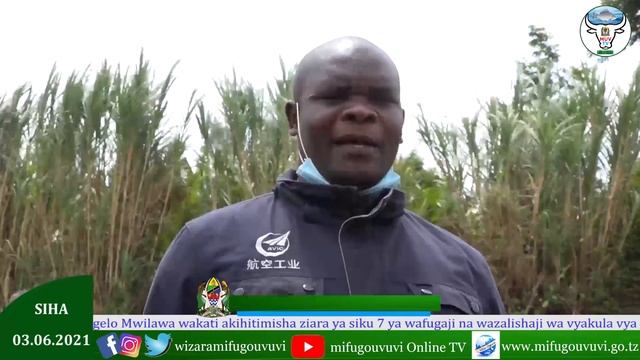 Dkt. Mwilawa awataka wafugaji kujiunga kwenye ushirika.. смотреть онлайн