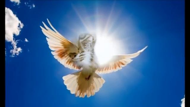 I'm Ram Ramaya Deva Premal смотреть онлайн