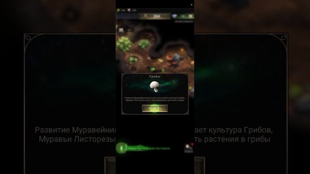 играю в  The Ants в 1 раз