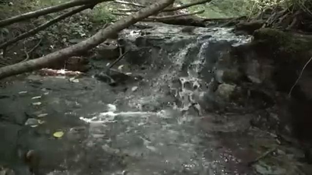 13-04-2025 Матрица Гаряева по Женской Гинекологии.