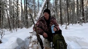 Охота на лося скрадом. Два заезда.