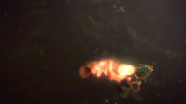 Youtube Intro Video -Made By Filmora ver. 7.8.9.1 смотреть онлайн