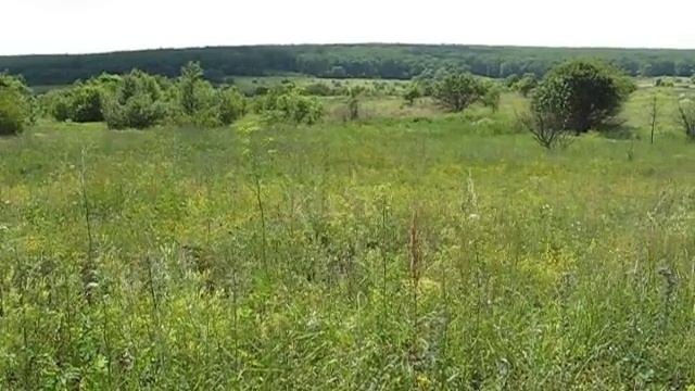 Бутурлиновка смотреть онлайн