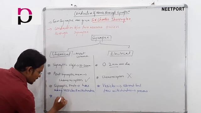 Neural Control and Coordination-Synapse|Lecture-23| Neet Biology|Class11 Biology| Human Physiology| смотреть онлайн
