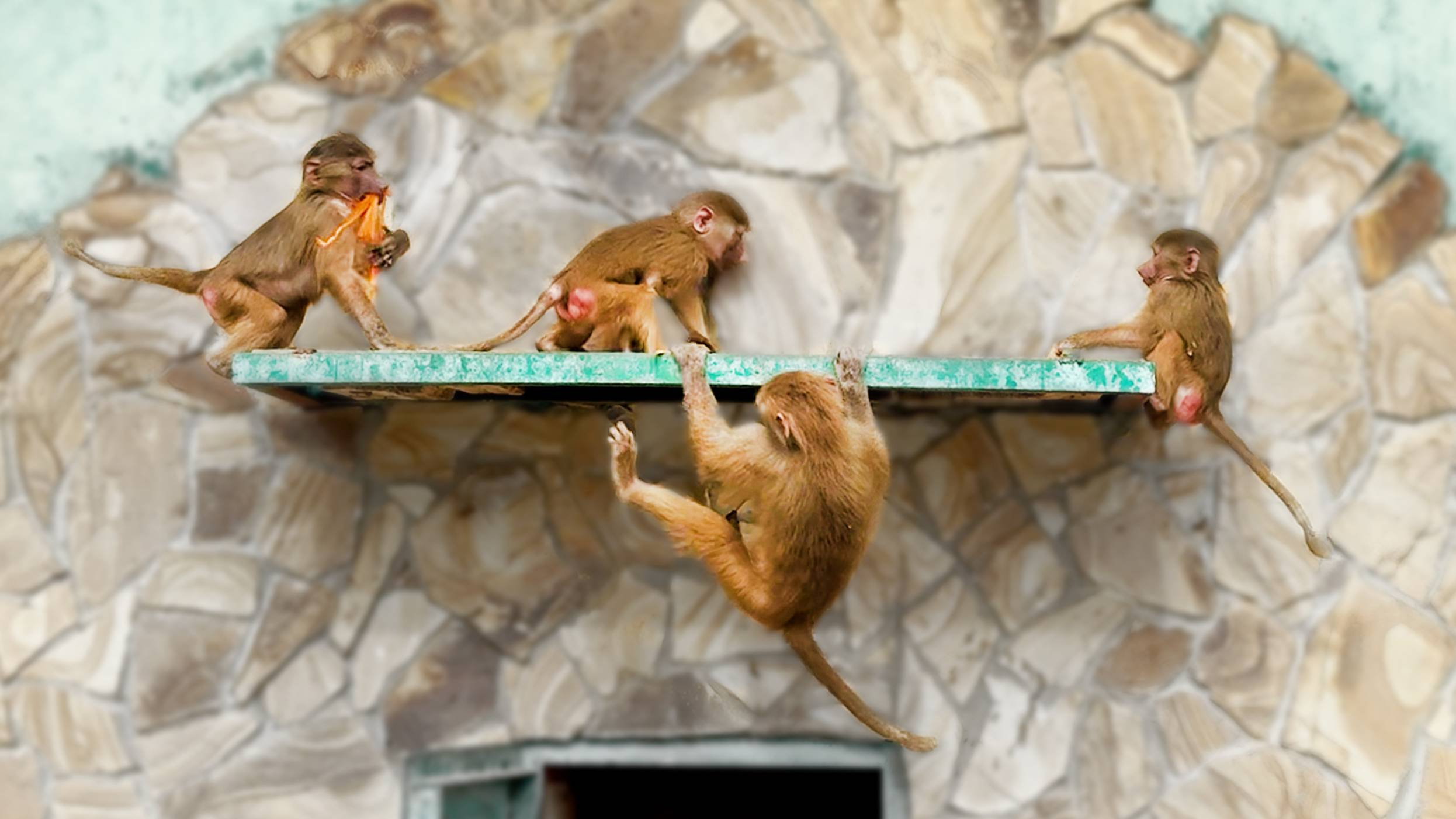 Тосю загребла, Маню поймала, сетку забрала - Люся мается, Степа устроил ей САЛКИ! Глаза разбегаются смотреть онлайн