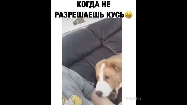 Лучшая Подборка Приколов #8 смотреть онлайн