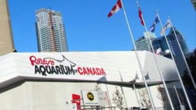 Environmental Design Case Study - Ripley's Aquarium (Reupload 2017) смотреть онлайн
