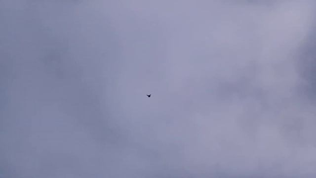 Западный ветер 4 января смотреть онлайн