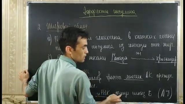 ЭНДОКРИННАЯ СИСТЕМА.. ПОДЕЖЛУДОЧНАЯ смотреть онлайн