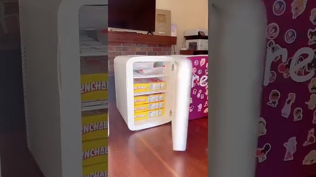 Mini Fridge Restock For My 11 Kids смотреть онлайн