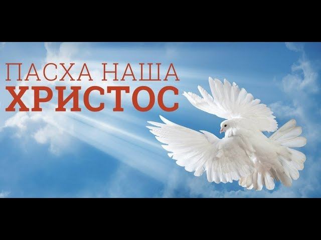 Пасхальный концерт хора Credo 30.04.2016