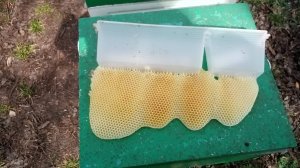 13 апреля ковыряемся в семьях