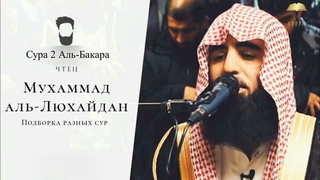 🕋 Сура Аль-Бакара | Чтение Корана — Мухаммад аль-Лухайдан | Величественное звучание
