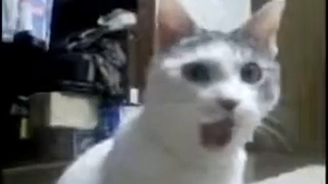 Очень тревожное видео смотреть онлайн