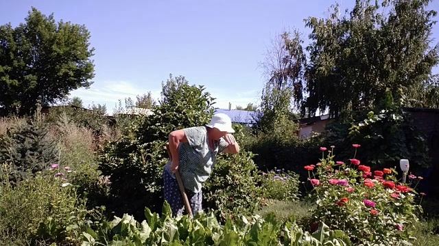 Копаю хрен. смотреть онлайн