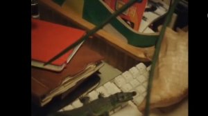 Мне говорят нету такой любви. Юлия Пересильд. Стихи Вероника Тушнова.