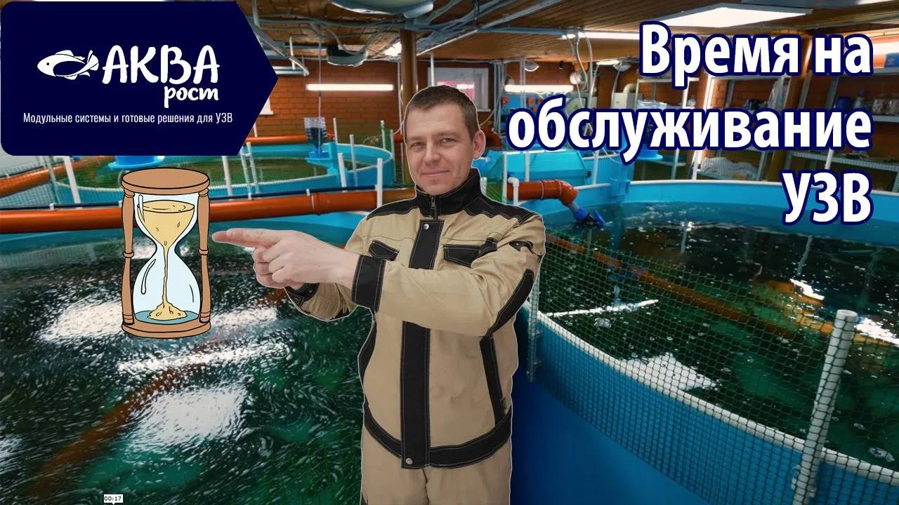 Сколько тратить времени на УЗВ #рыбоводство #узв #разведениерыбы #романакварост #акварост смотреть онлайн