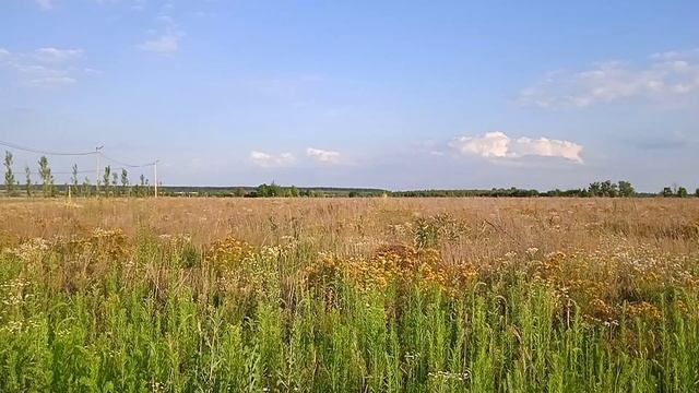 Дорога к Добропарку. 4 июля смотреть онлайн