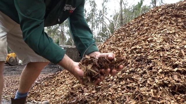Why is Wood Chip So Important in the Garden? смотреть онлайн