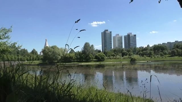 БЫЛО БОЛЬНО, НО ПРИШЛОСЬ ТЕРПЕТЬ ДО КОНЦА. Истории из жизни рассказы. Неверная жена смотреть онлайн